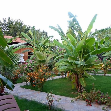 Estelar Bungalow Çıralı Eksteriør bilde
