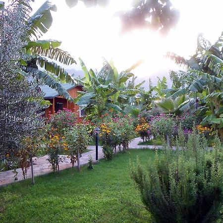 Estelar Bungalow Çıralı Eksteriør bilde