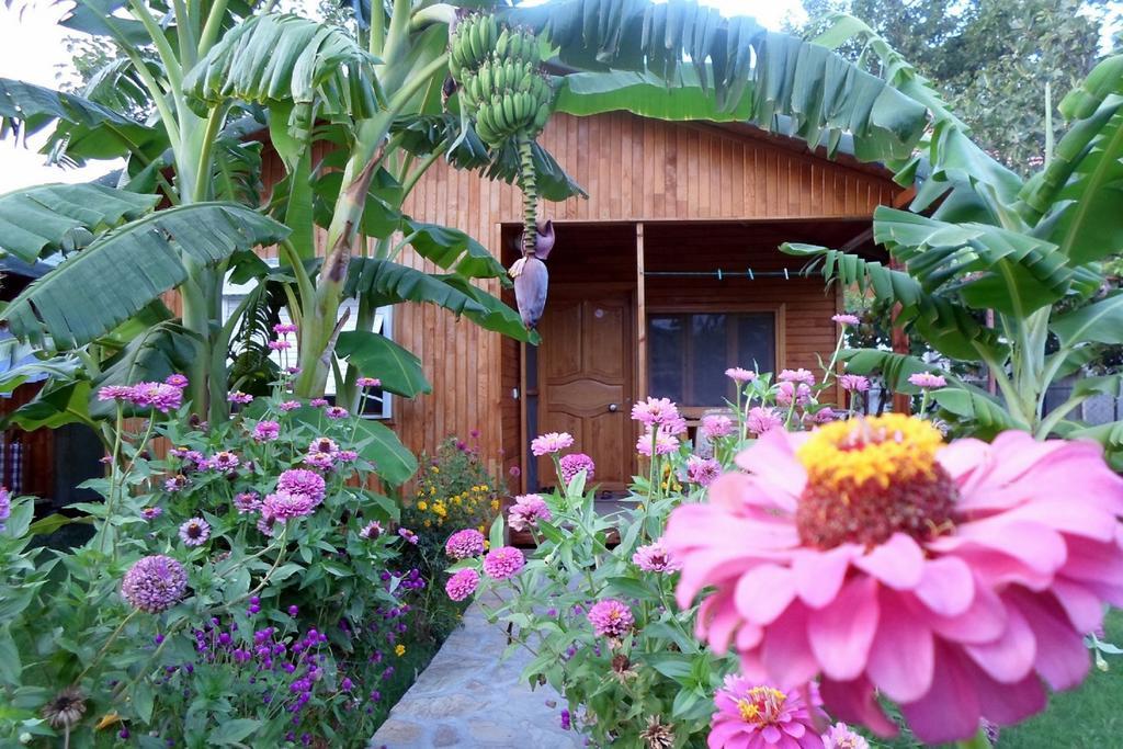 Estelar Bungalow Çıralı Eksteriør bilde