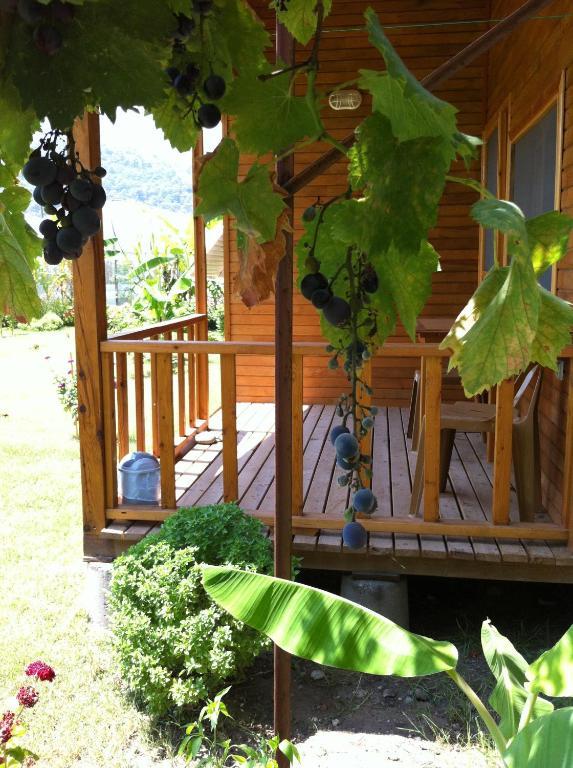 Estelar Bungalow Çıralı Rom bilde