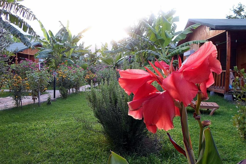 Estelar Bungalow Çıralı Eksteriør bilde