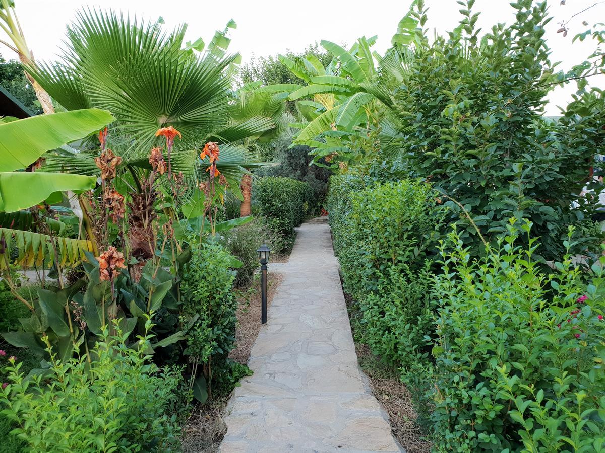 Estelar Bungalow Çıralı Eksteriør bilde