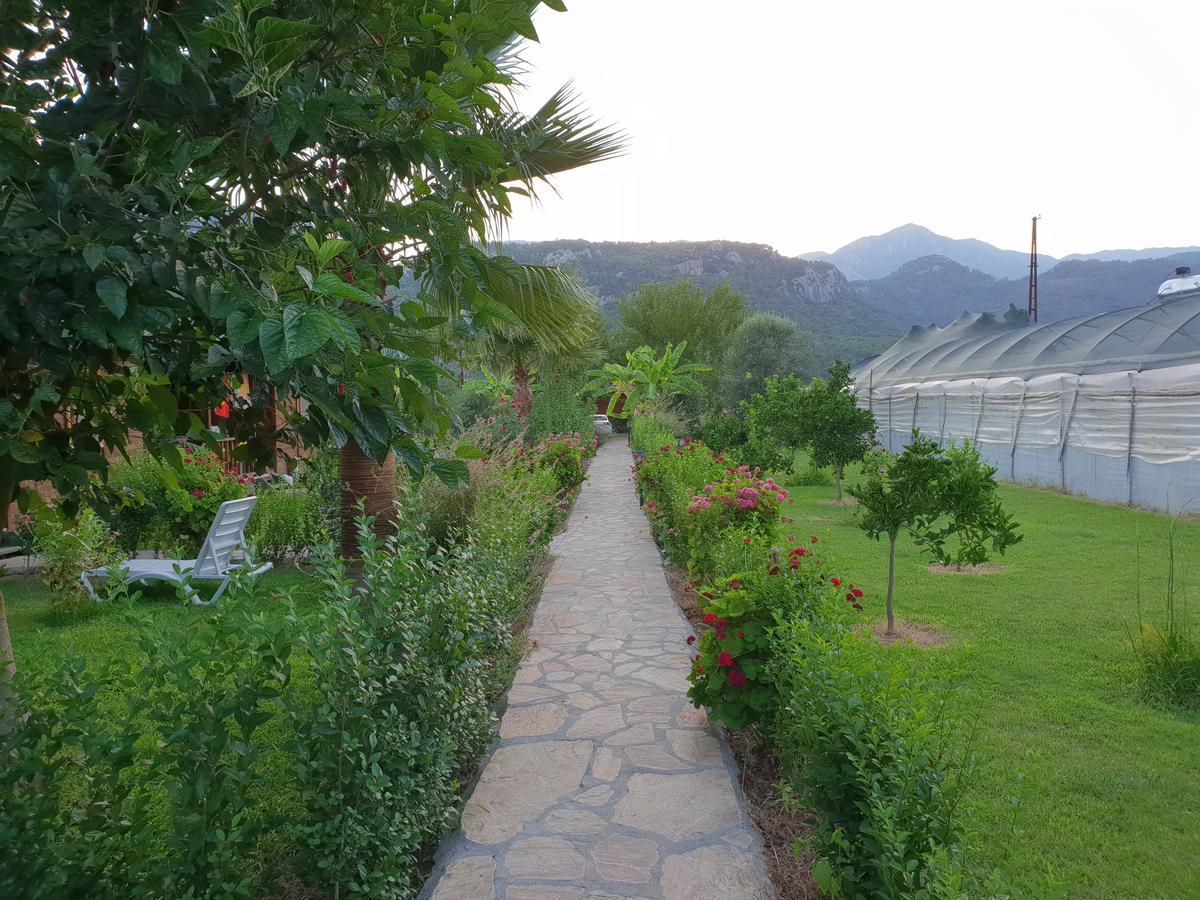 Estelar Bungalow Çıralı Eksteriør bilde